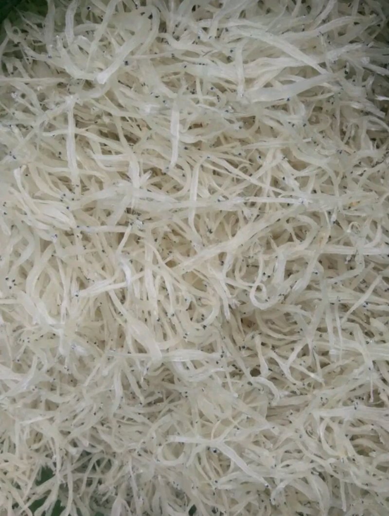 银鱼