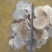 白灵芝长白山林中自釆白灵芝5斤(包邮)