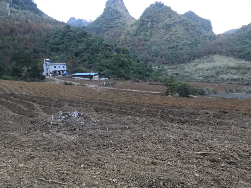 农场（适合亲子乐园开发，田园综合体开发，养生项目开发）