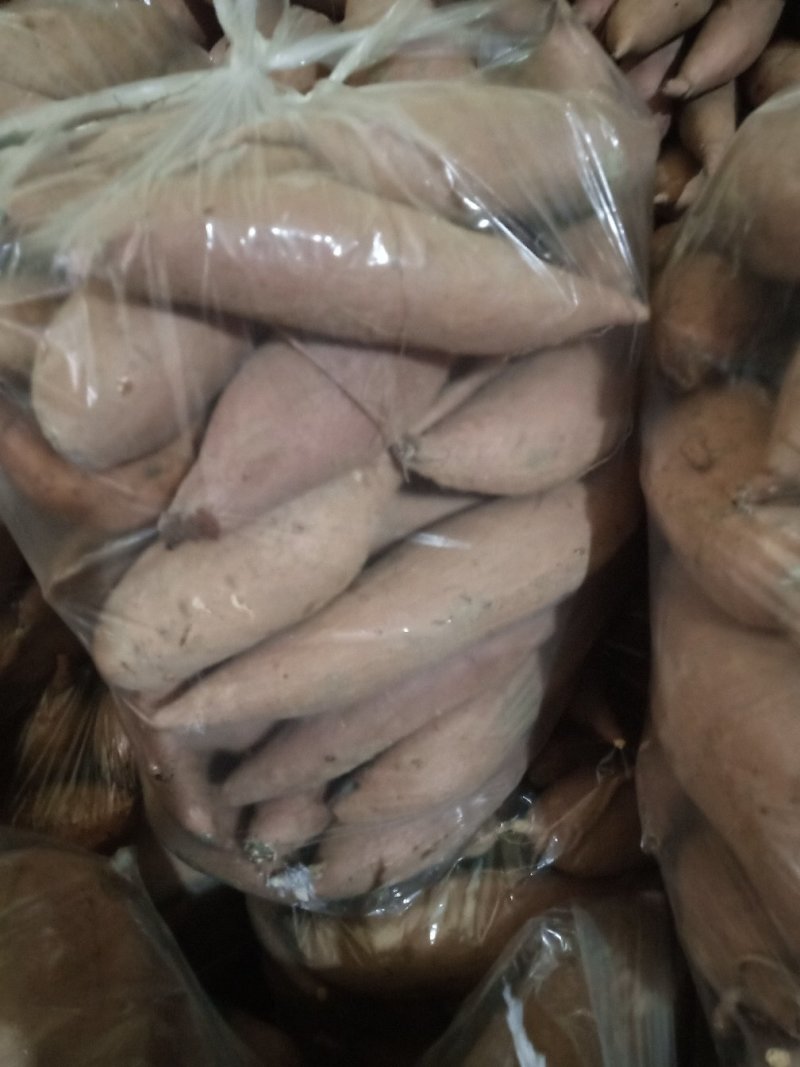 红暑