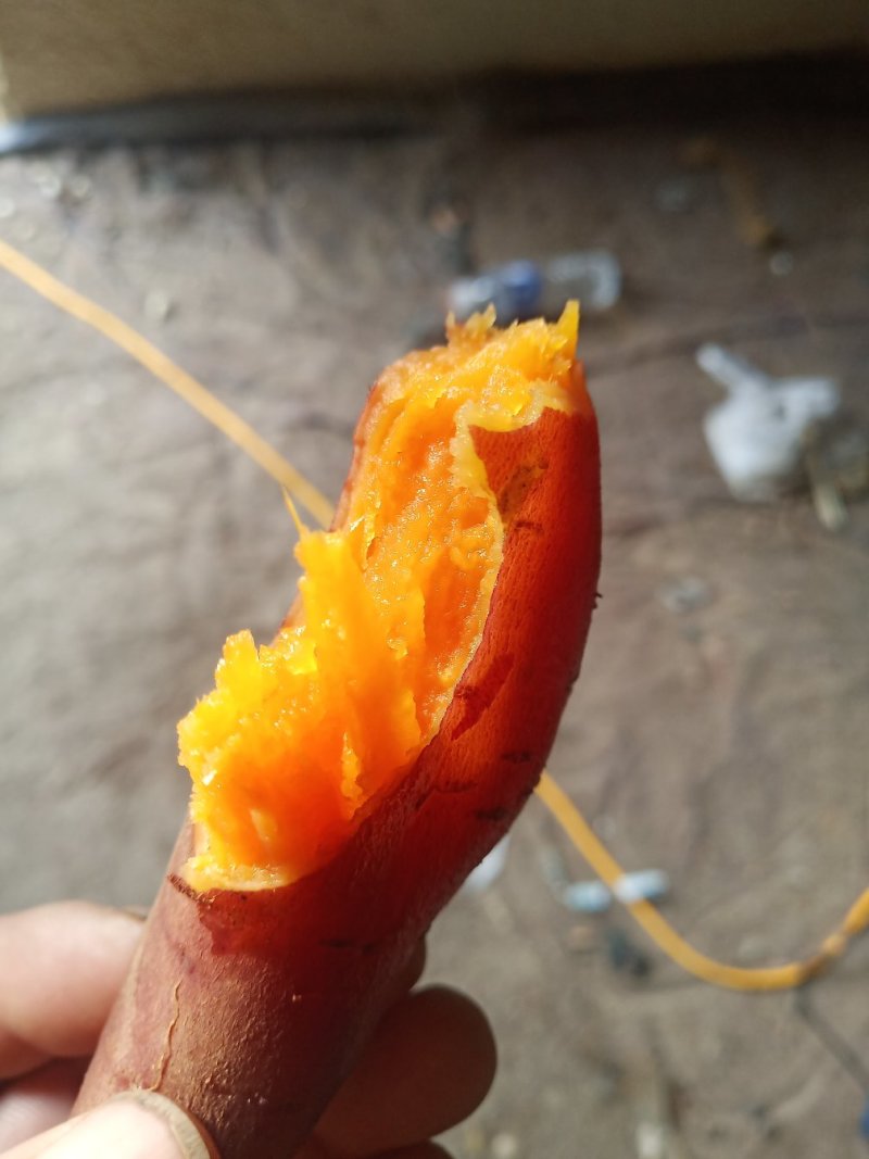 红暑