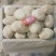 盈江丽薯6号大量上市了还有合作88