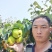 玉露香梨树苗，品种纯正，基地直销，提供种植技术
