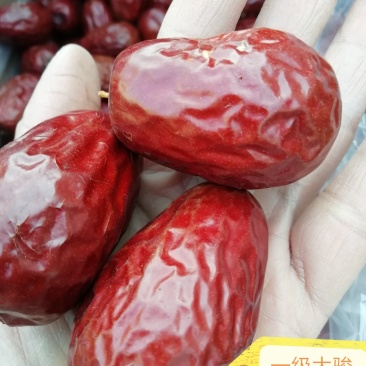 和田大枣一级，长约四厘米，肉质饱满，味道甜，干度八成，