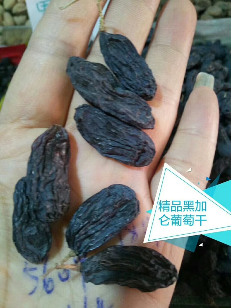 新疆吐鲁番大号黑加仑葡萄干，1公斤起发货，量多优惠多