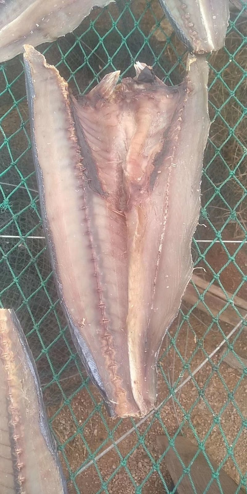 刀鲅鱼马鲛鱼鲅鱼干3去刀把鱼干【晒场直销】