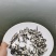 广东罗非鱼苗批发罗非鱼苗价格