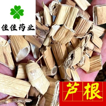 芦根芦苇根野生货大统货干度好供应各种中药材
