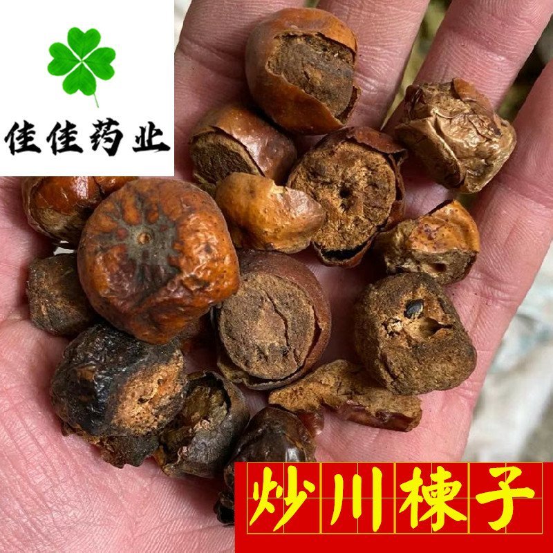 川楝子炒川楝子好统货无碎末供应各种中药材