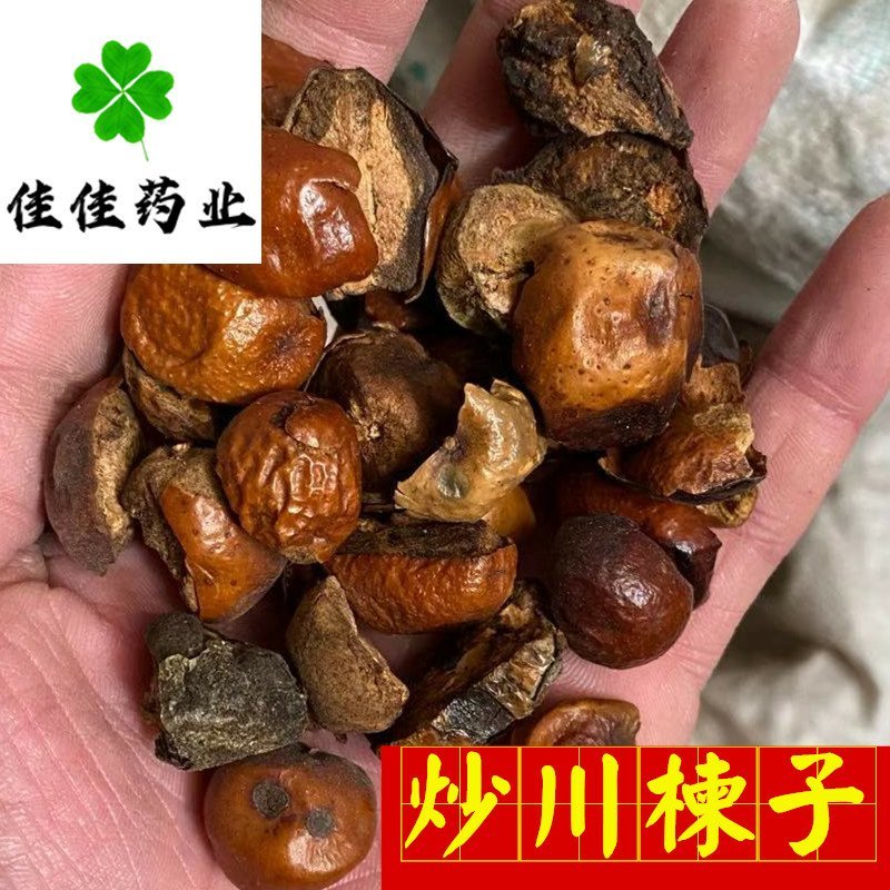川楝子炒川楝子好统货无碎末供应各种中药材