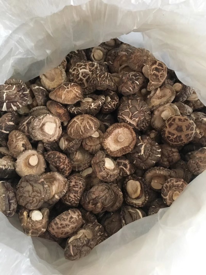 茶花菇干香菇花菇肉厚冬菇基地直销包邮