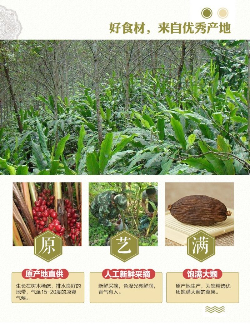 草果香料家用商用特级云南中药材干大料调料香料500克
