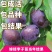 黑布林李子树苗嫁接李子树苗地栽南北方种植果树当年结果树苗