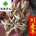 麦冬正品川麦冬含量高选货纯无硫货干