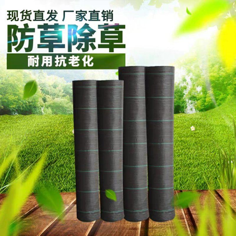 防草布除草布果园果树遮草抗老化0.4米一3米宽100米长