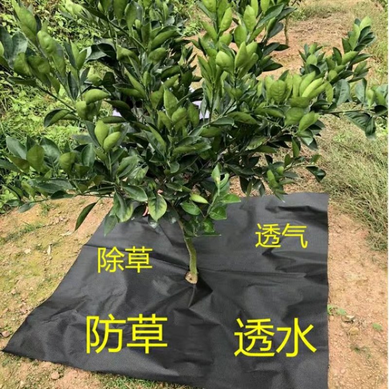 防草布除草布果园果树遮草抗老化0.4米一3米宽100米长