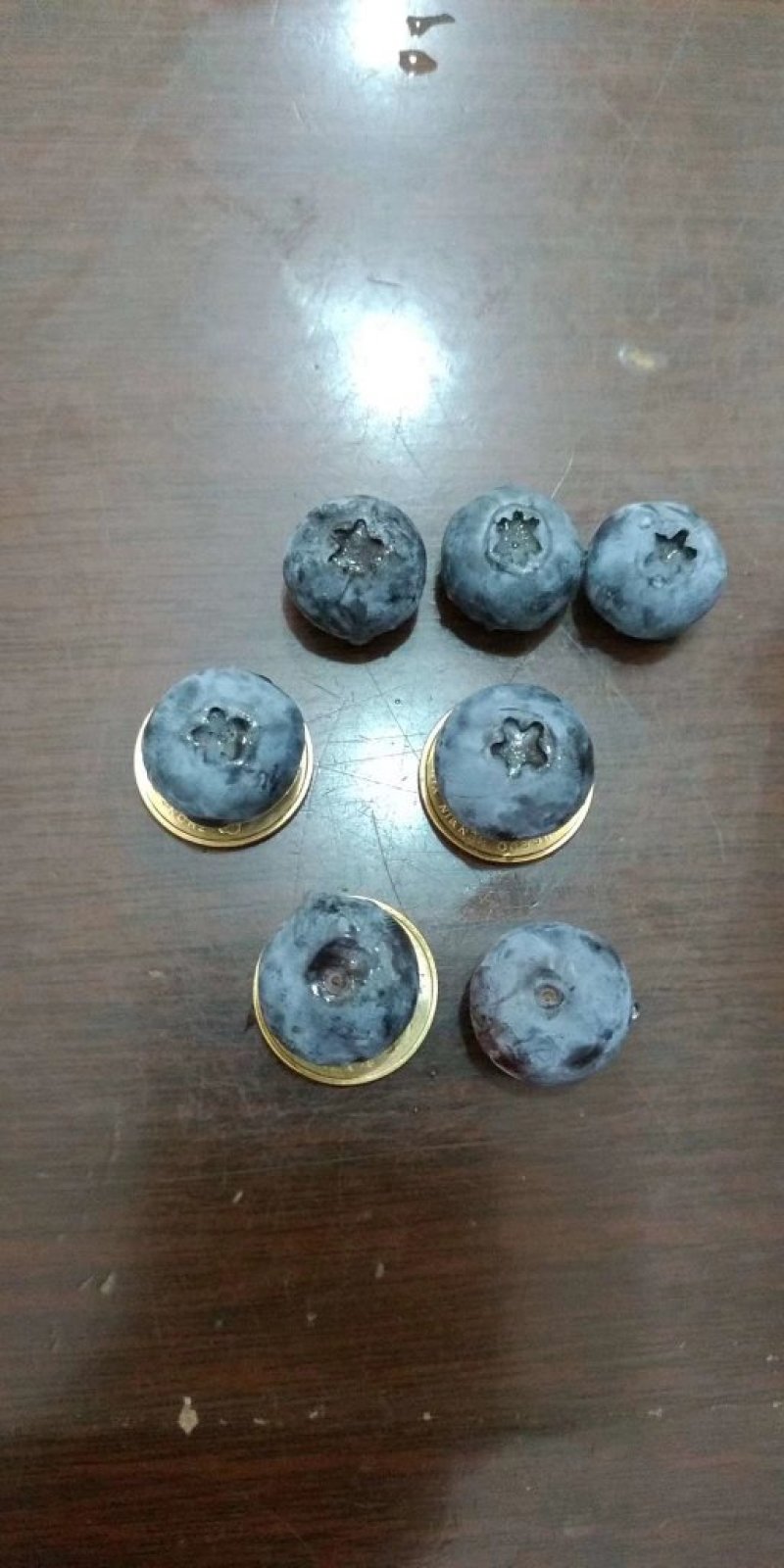 兔眼蓝莓薄雾蓝莓品质保证