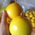 黄金百香果，蜂蜜味，芭乐味都有