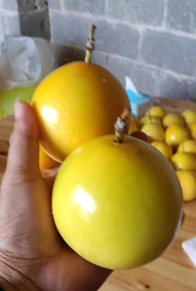 黄金百香果，蜂蜜味，芭乐味都有