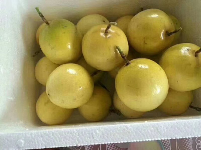 黄金百香果，蜂蜜味，芭乐味都有