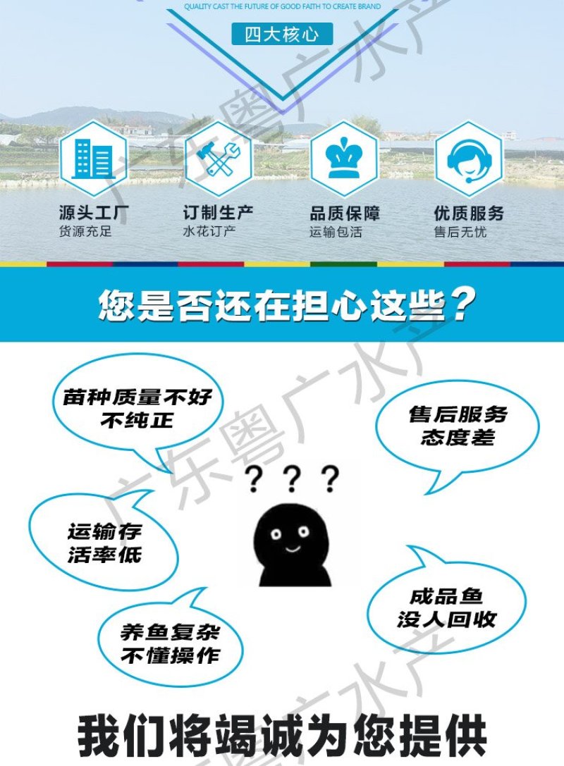 产地直销兴国红鲤鱼苗基地供应全国发货