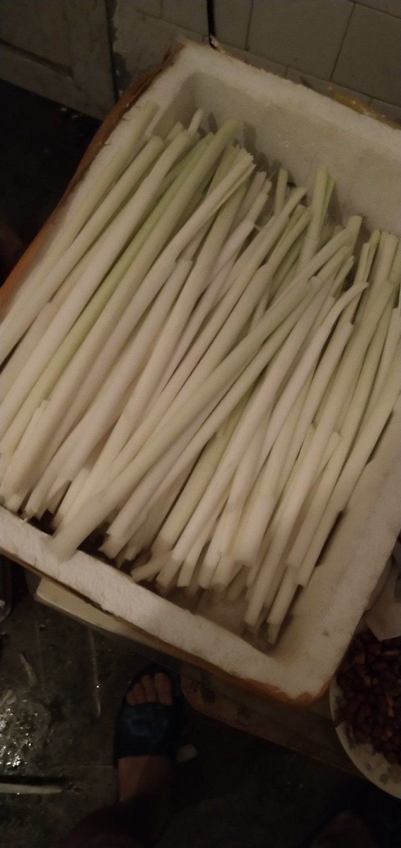 大明湖鲜蒲菜山东特产鲜蒲菜大明湖三白鲁菜代表菜