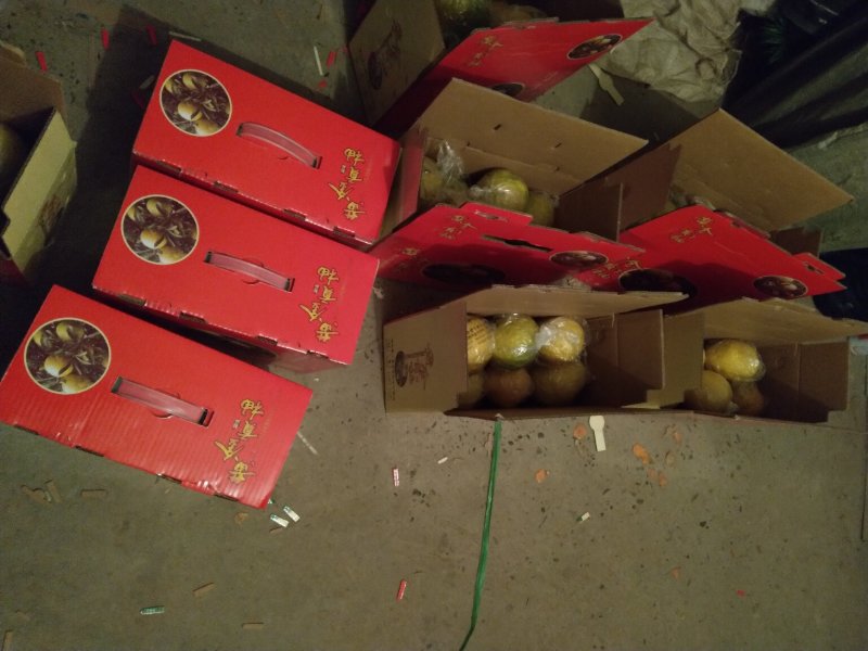 黄金贡柚枝条，可先买样品果后买枝条，提供管理技术