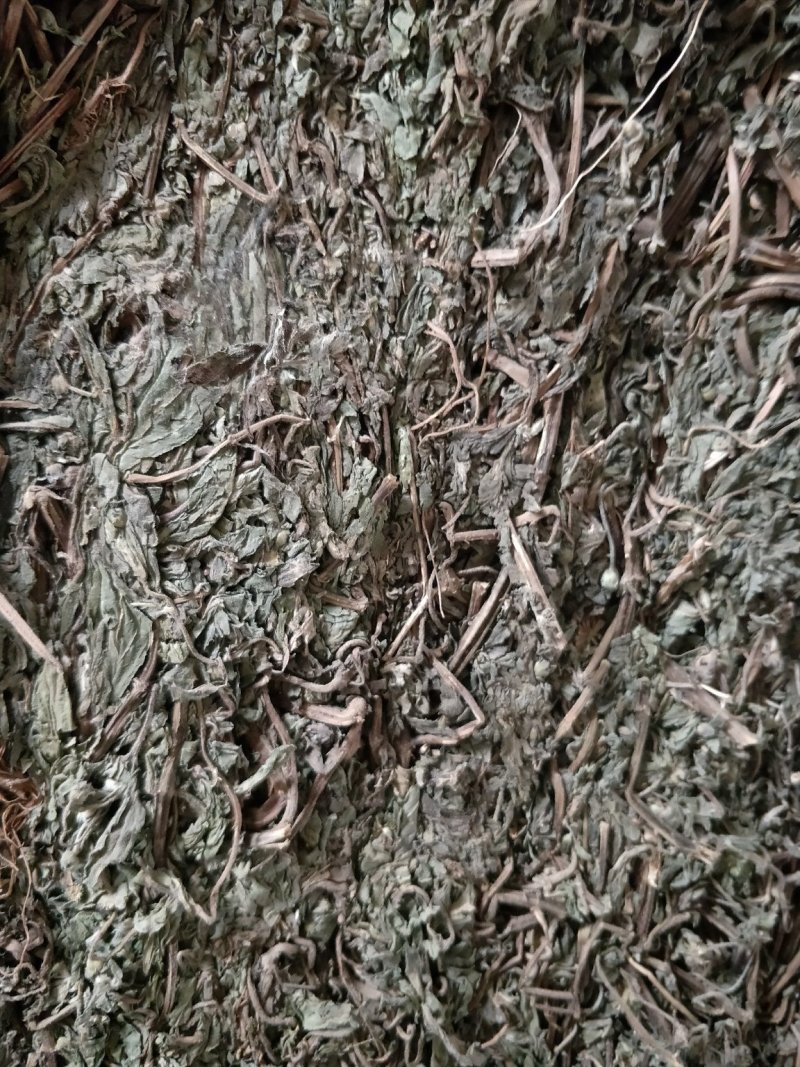 中药全草类