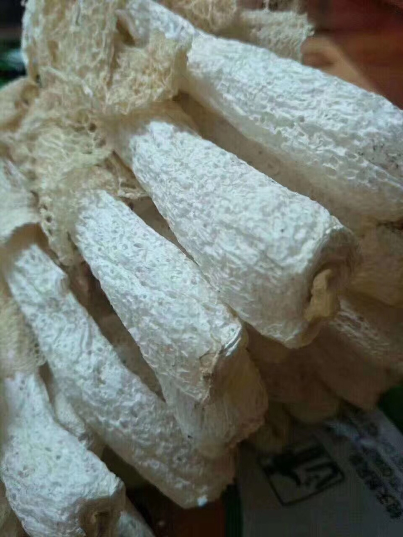 大金湖.尚书品.深山土特产.竹荪
