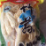 大金湖.尚书品.深山土特产.竹荪