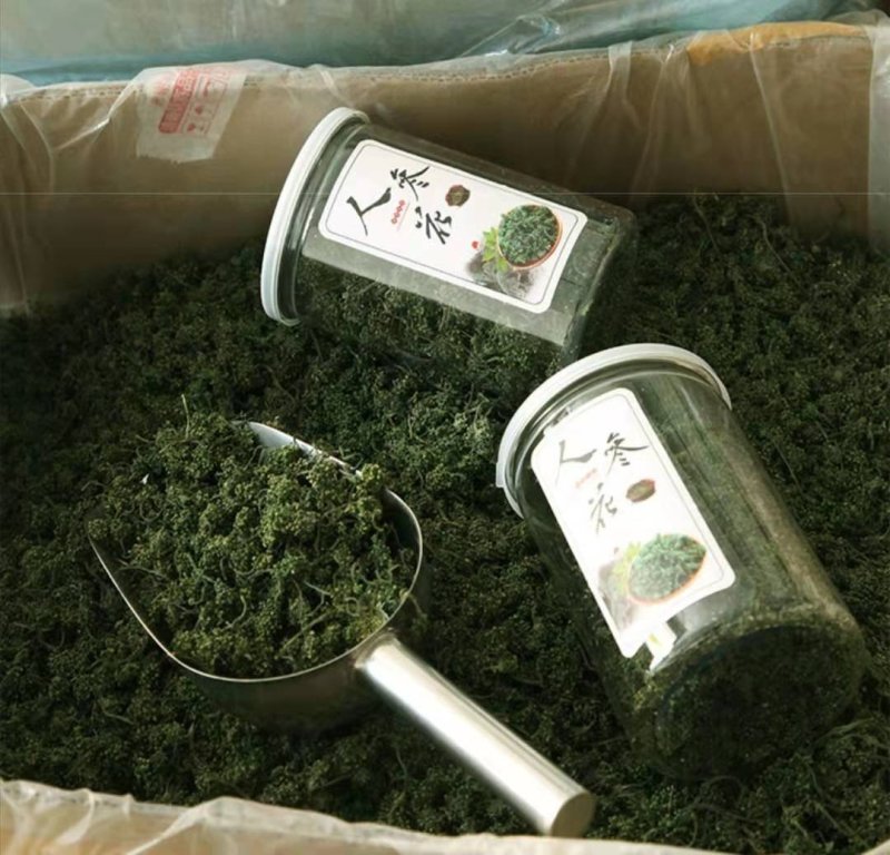 人参花长白山人参花8年参龄参花
