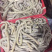 牛肠，预煮半成品，质量保证