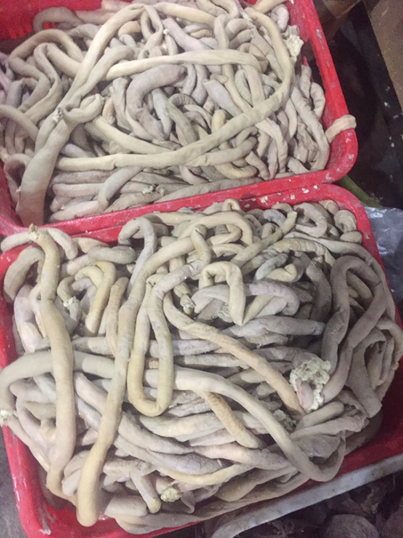 牛肠，预煮半成品，质量保证
