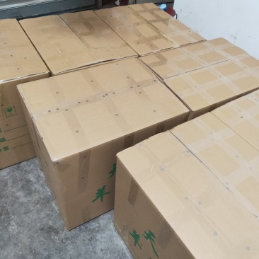 2020羊肚菌鲜货基地直供！