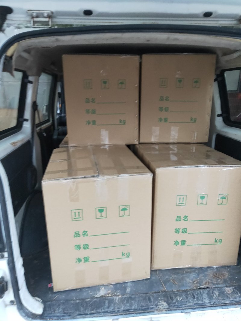2020羊肚菌鲜货基地直供！