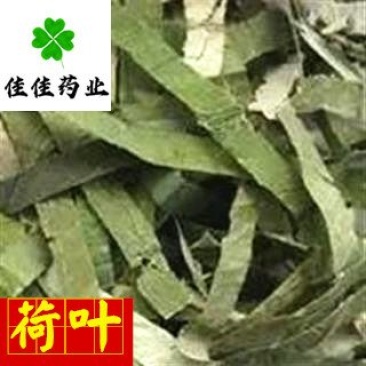 荷叶干荷叶丝好统货供应各种中药材！