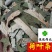 荷叶干荷叶丝好统货供应各种中药材！