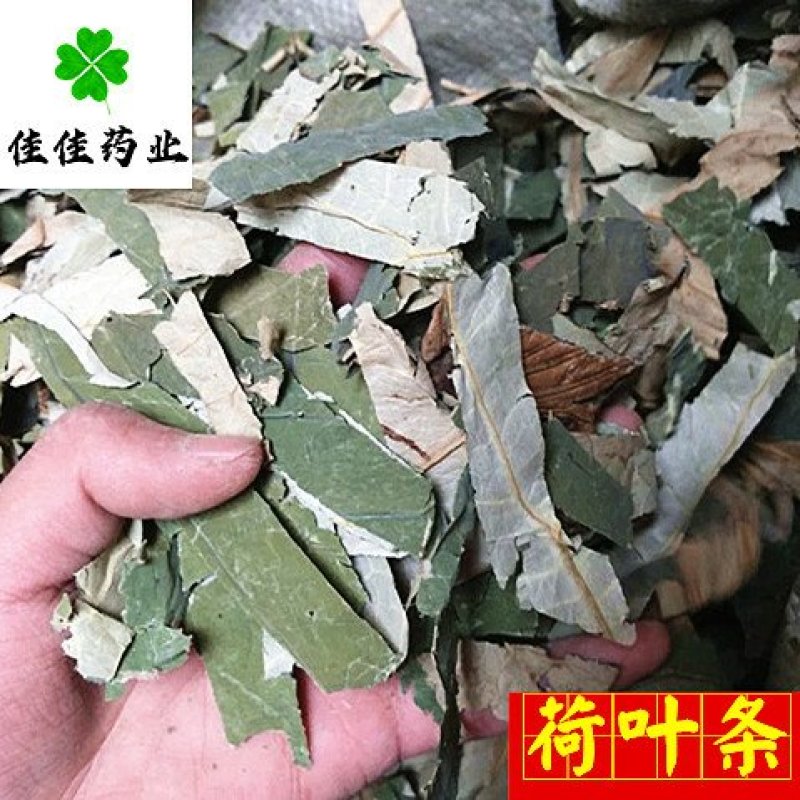 荷叶干荷叶丝好统货供应各种中药材！