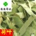 荷叶干荷叶丝好统货供应各种中药材！