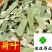 荷叶干荷叶丝好统货供应各种中药材！