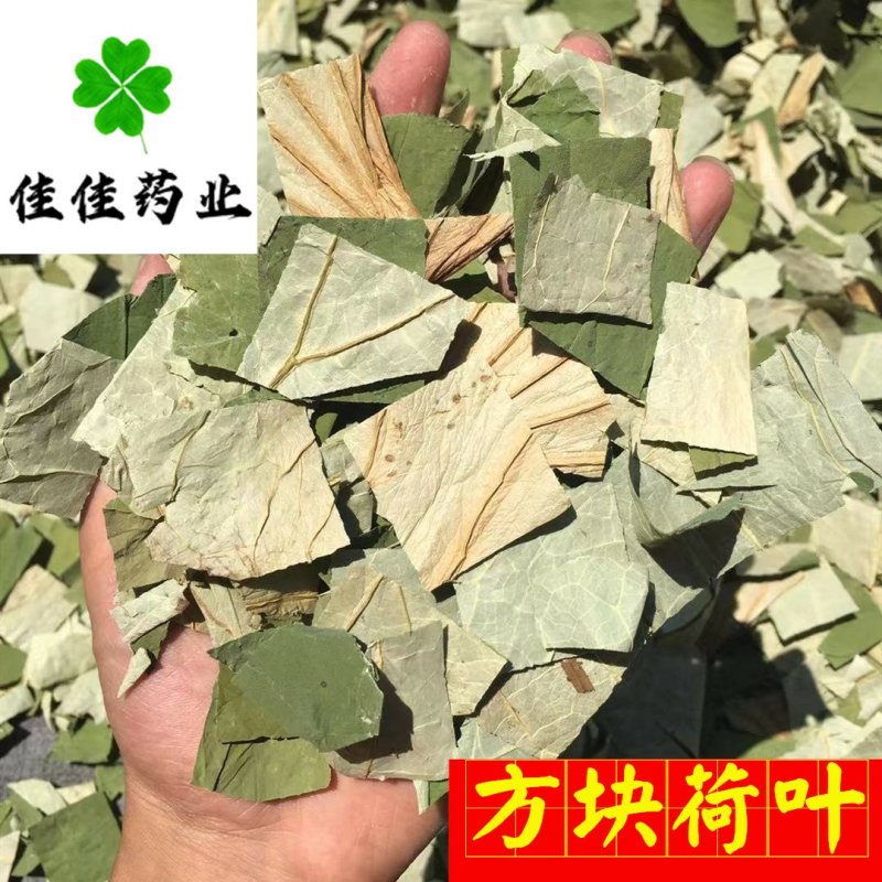 荷叶干荷叶丝好统货供应各种中药材！