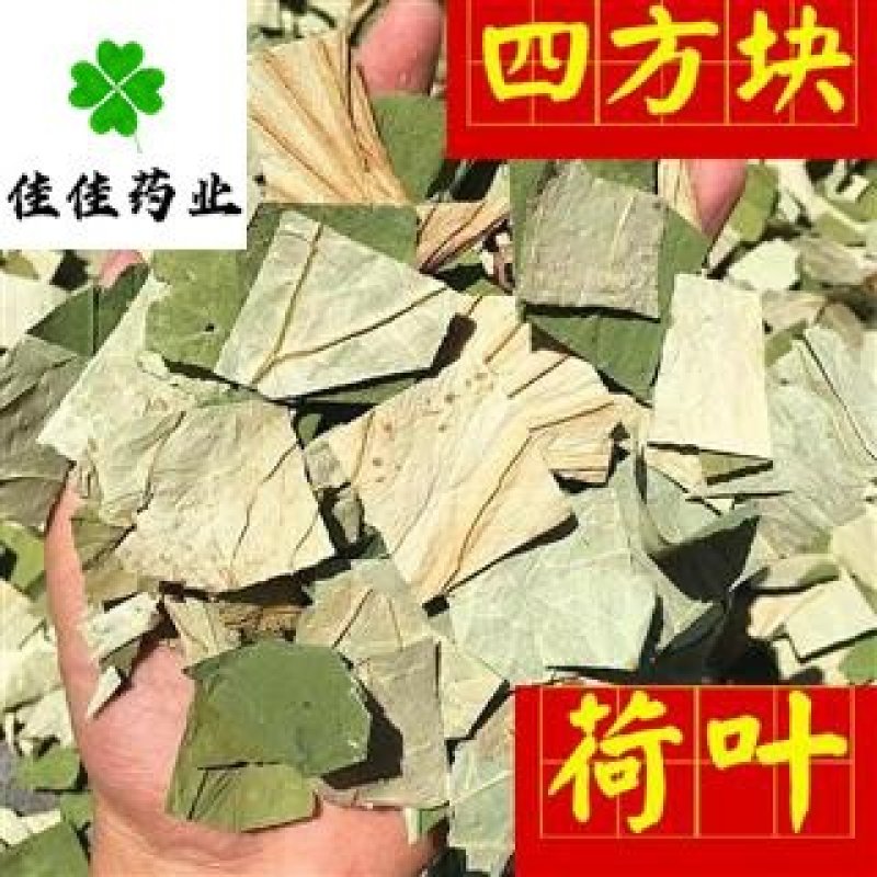 荷叶干荷叶丝好统货供应各种中药材！