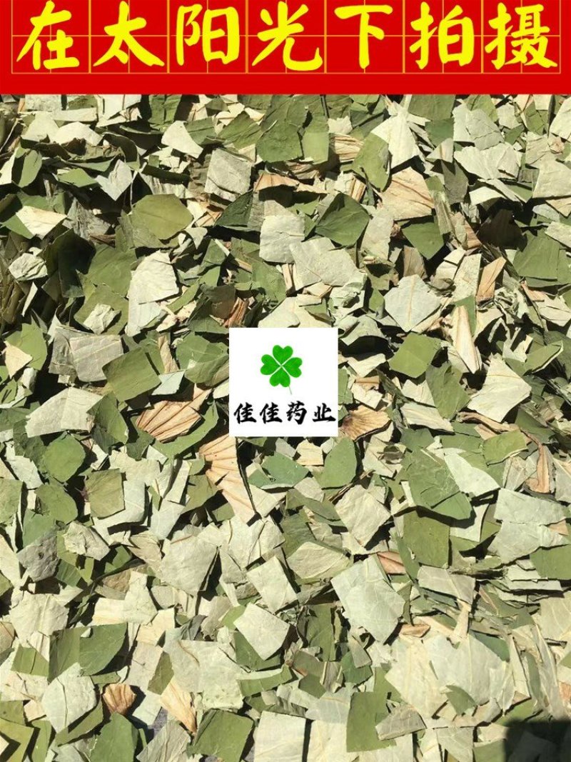 荷叶干荷叶丝好统货供应各种中药材！