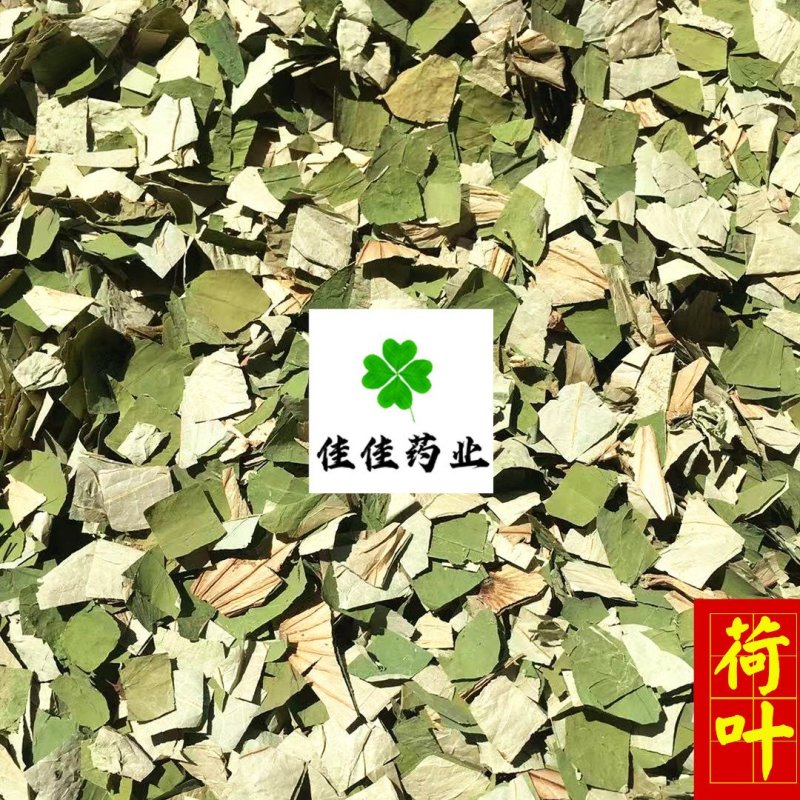 荷叶干荷叶丝好统货供应各种中药材！