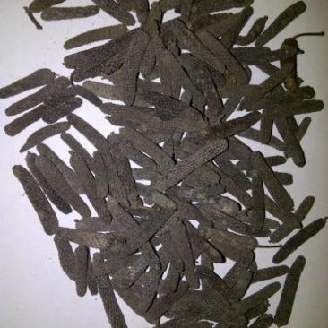 毕拨荜茇