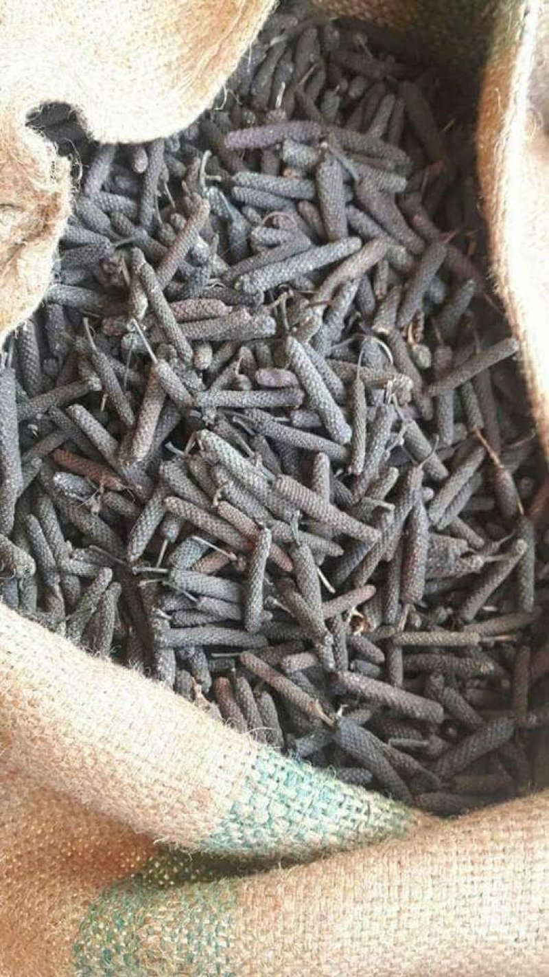 毕拨荜茇