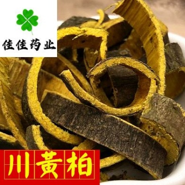 黄柏川黄柏新货颜色好统货佳佳药业供应各种中药材