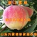 丽江雪桃苗晚熟桃树苗嫁接桃树苗南北方种植品种桃树苗