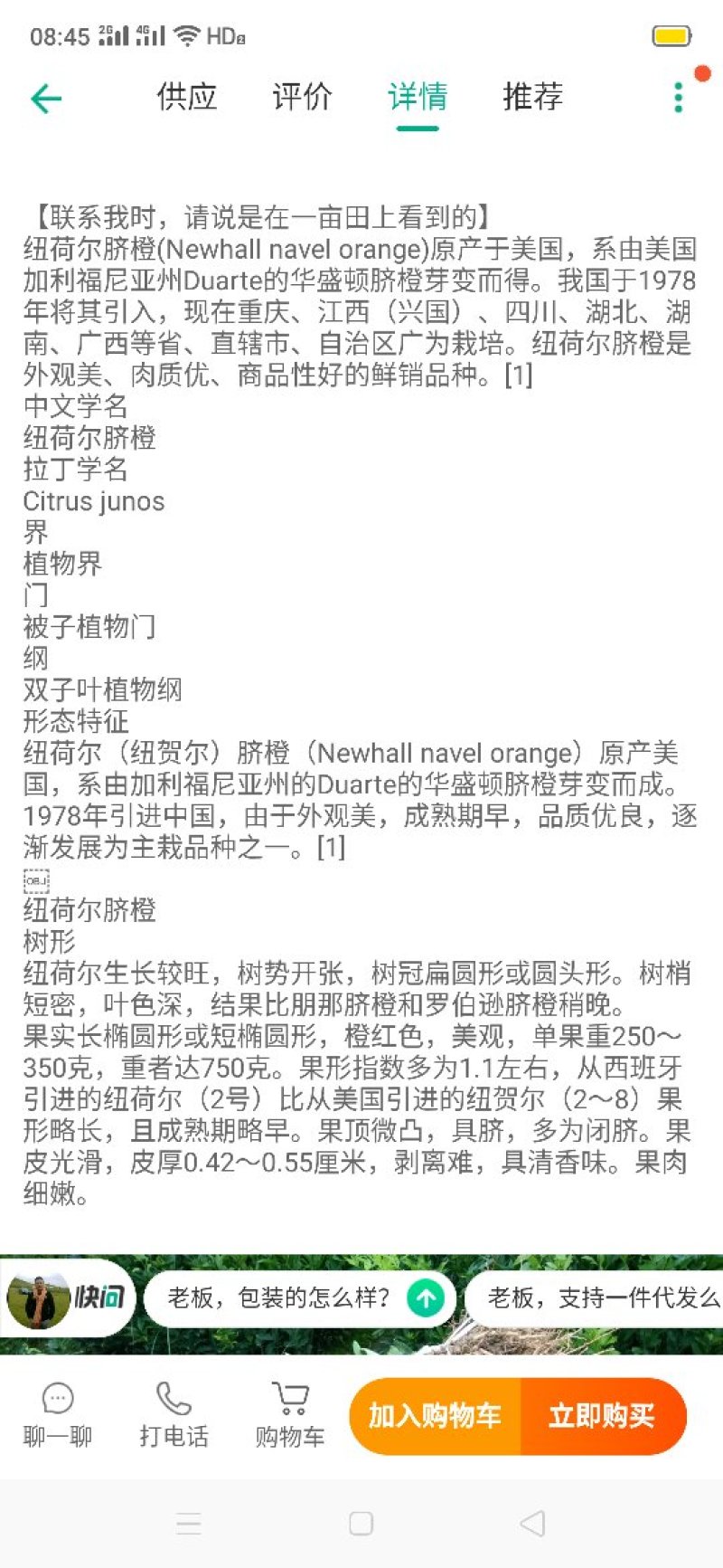 脐橙苗纽荷尔苗根系好品种保证签订合同假一赔十