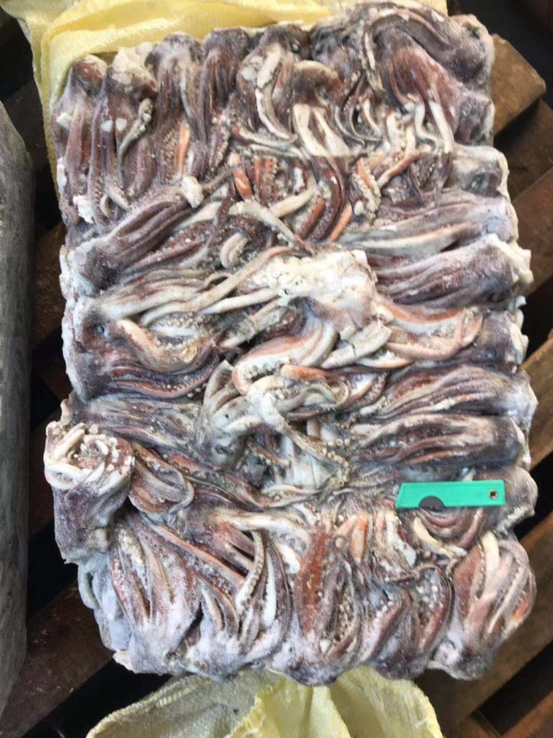 鱿鱼头